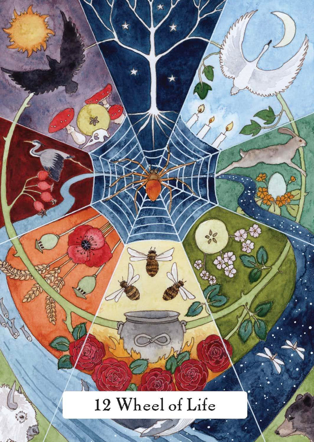Witches' Wisdom Tarot, The (Standard Edition) | ไพ่ทาโรต์