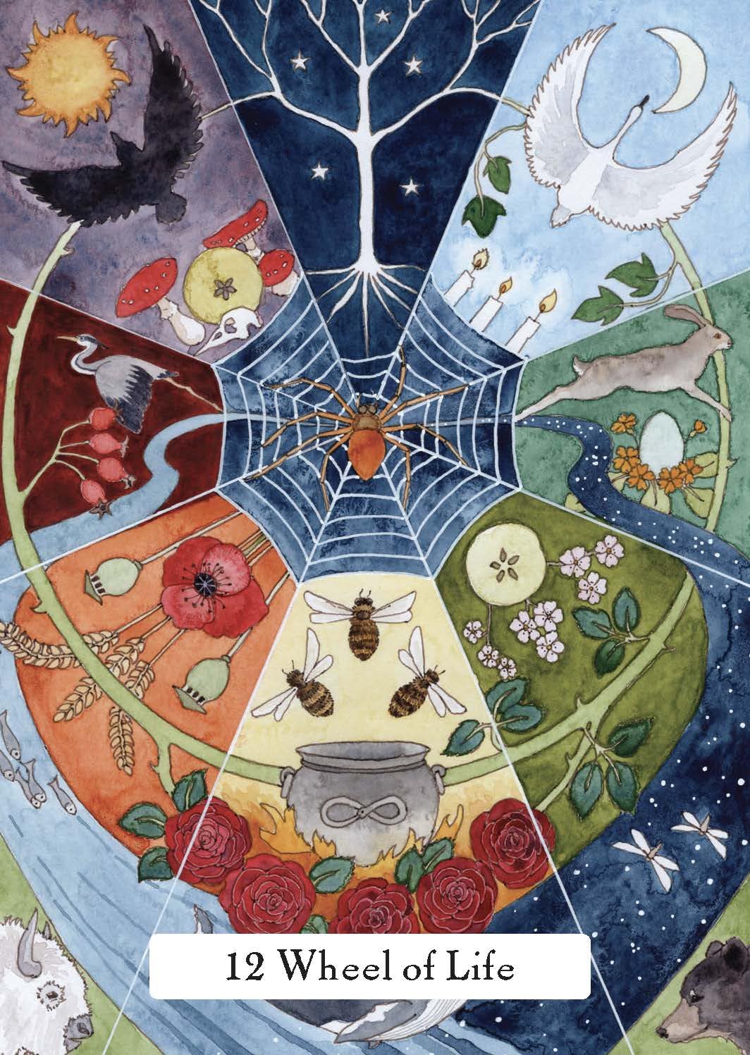Witches' Wisdom Tarot, The (Standard Edition) | ไพ่ทาโรต์
