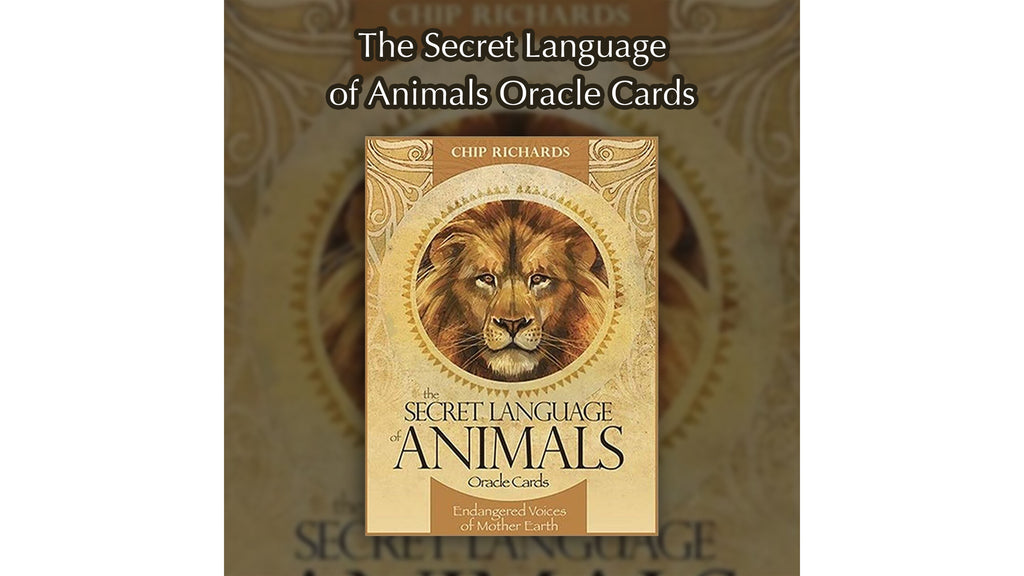 Secret Language of Animals Oracle Cards, The | ไพ่ออราเคิล