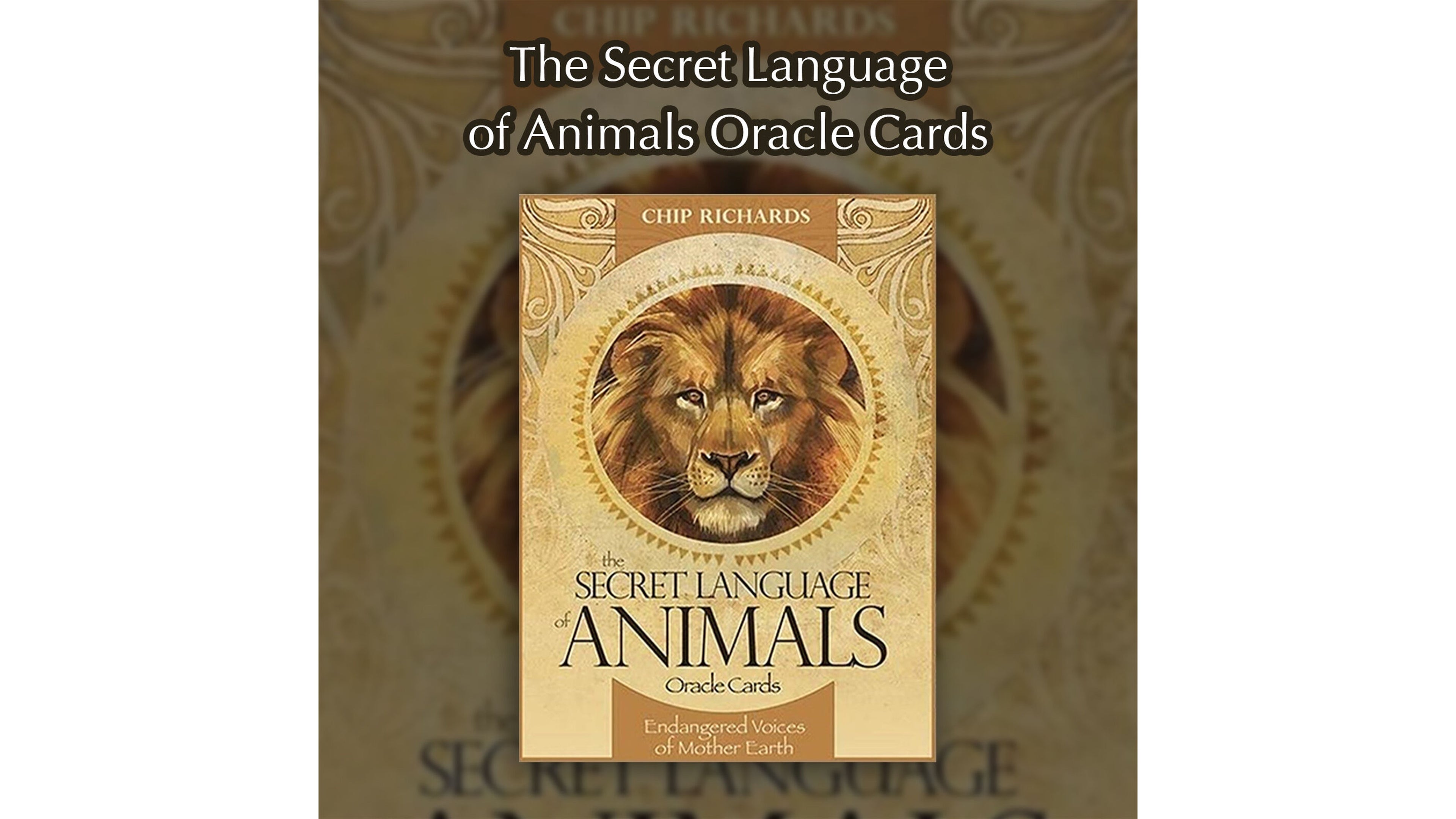 Secret Language of Animals Oracle Cards, The | ไพ่ออราเคิล
