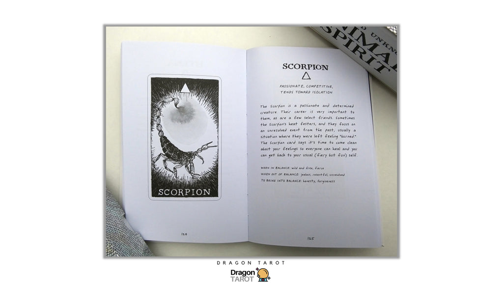 Wild Unknown Animal Spirit Deck and Guidebook, The | ไพ่ออราเคิล พร้อมหนังสือคู่มือ