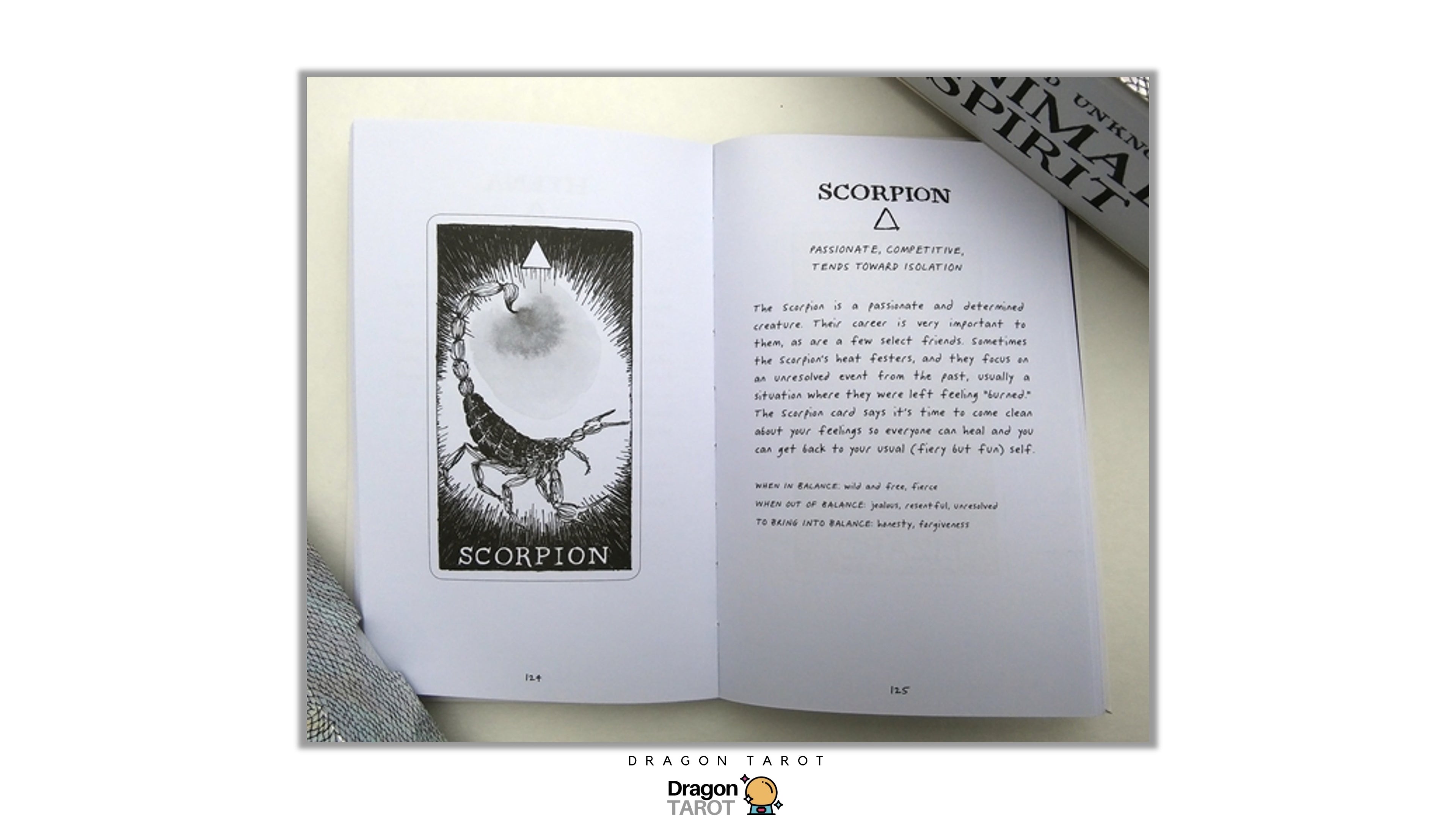 Wild Unknown Animal Spirit Deck and Guidebook, The | ไพ่ออราเคิล พร้อมหนังสือคู่มือ