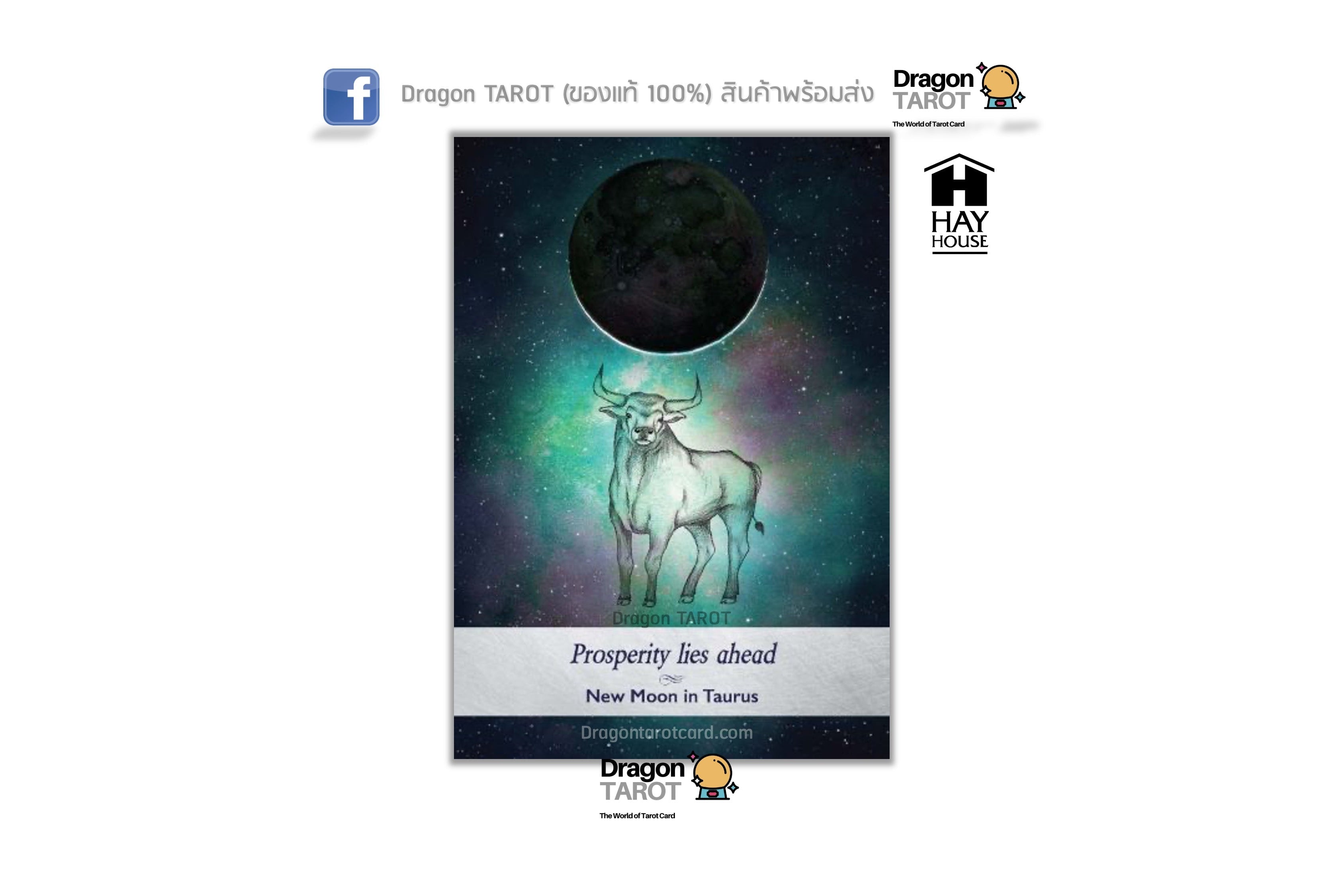 Moonology Oracle Cards: A 44-Card Moon Astrology Oracle Deck and Guidebook | ไพ่ออราเคิล