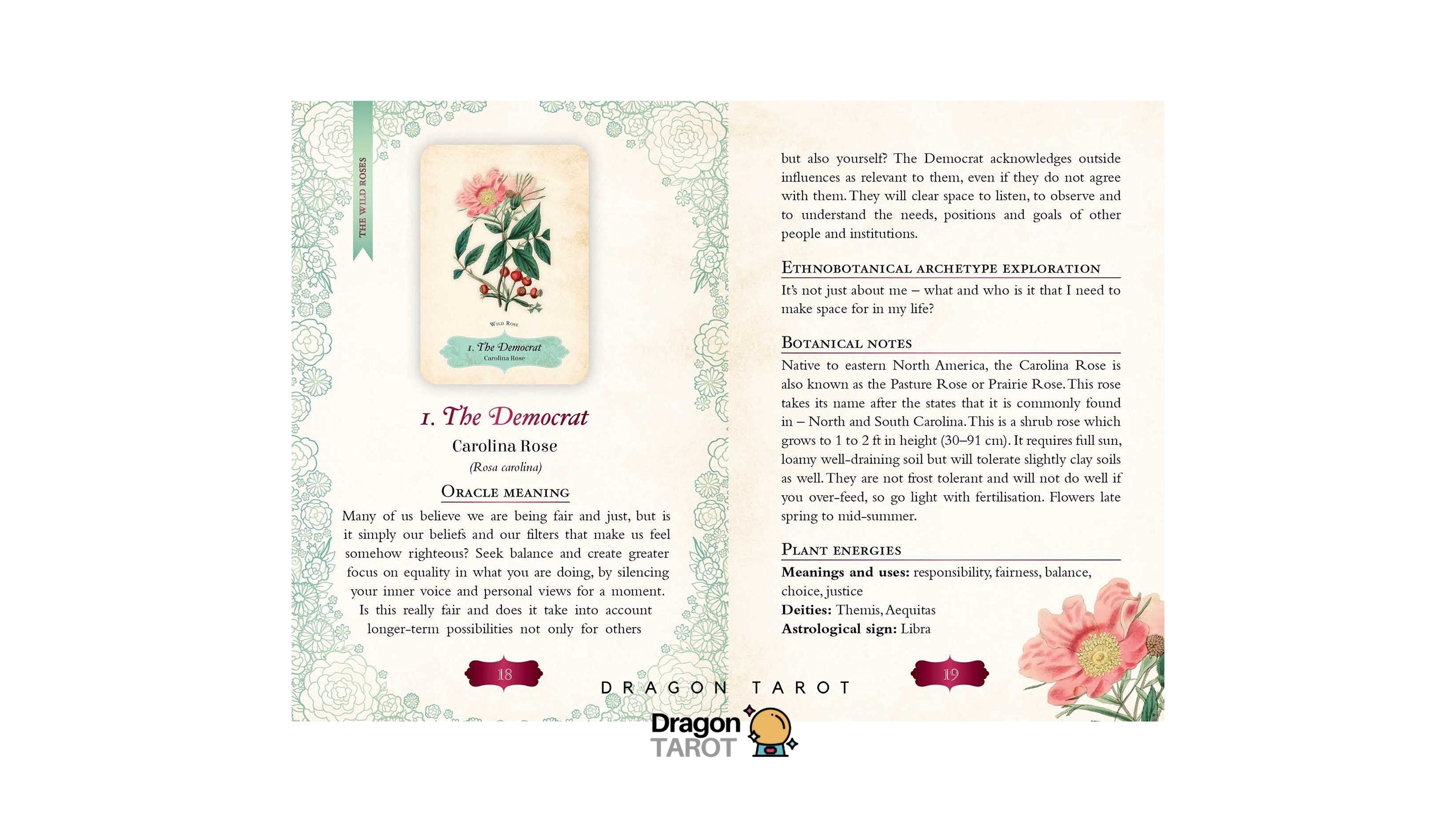 Oracle of The Roses | ไพ่ออราเคิล ขอบไพ่สีแดง