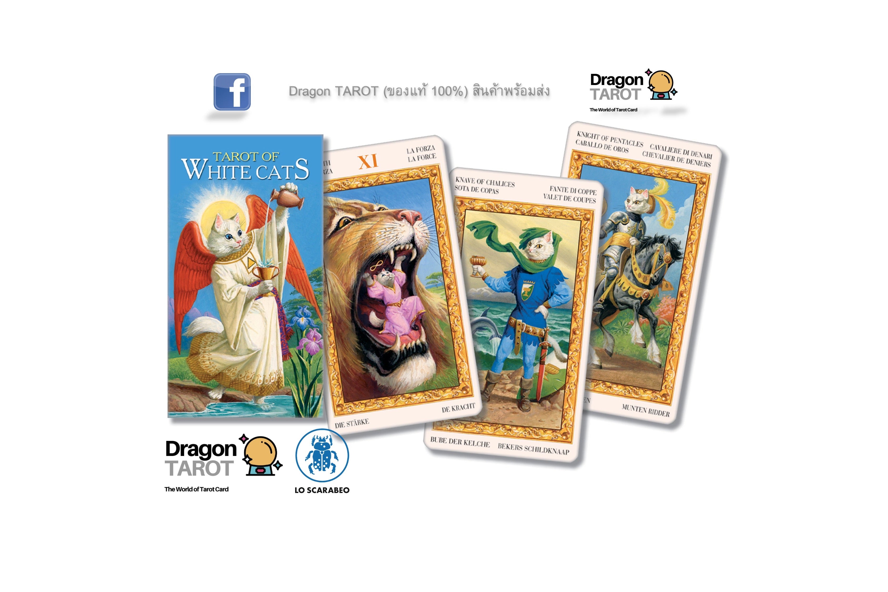 Dragon Tarot: The Tale of White Cats card deck packaging and three sample cards displayed on a white background with brand logos and social media icons.