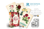 Oracle Roses Dragon Tarot deck with its illustrated box and several fanned cards displaying vintage rose designs, alongside the Rockpool brand logo and product text on a white background.