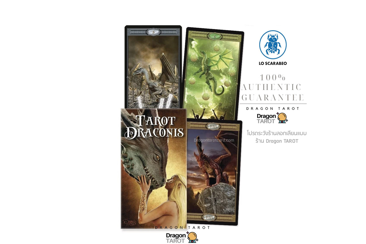 Four Dragon Tarot card boxes arranged on a white background with brand logos and Thai text. The set includes Tarot Draconis, with illustrated dragon-themed box art and a central package showing a green dragon and tree imagery.