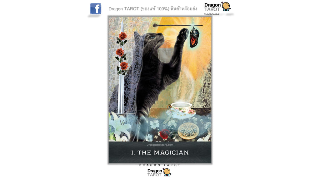 Grimalkin’s Curious Cats Tarot | ไพ่ทาโรต์