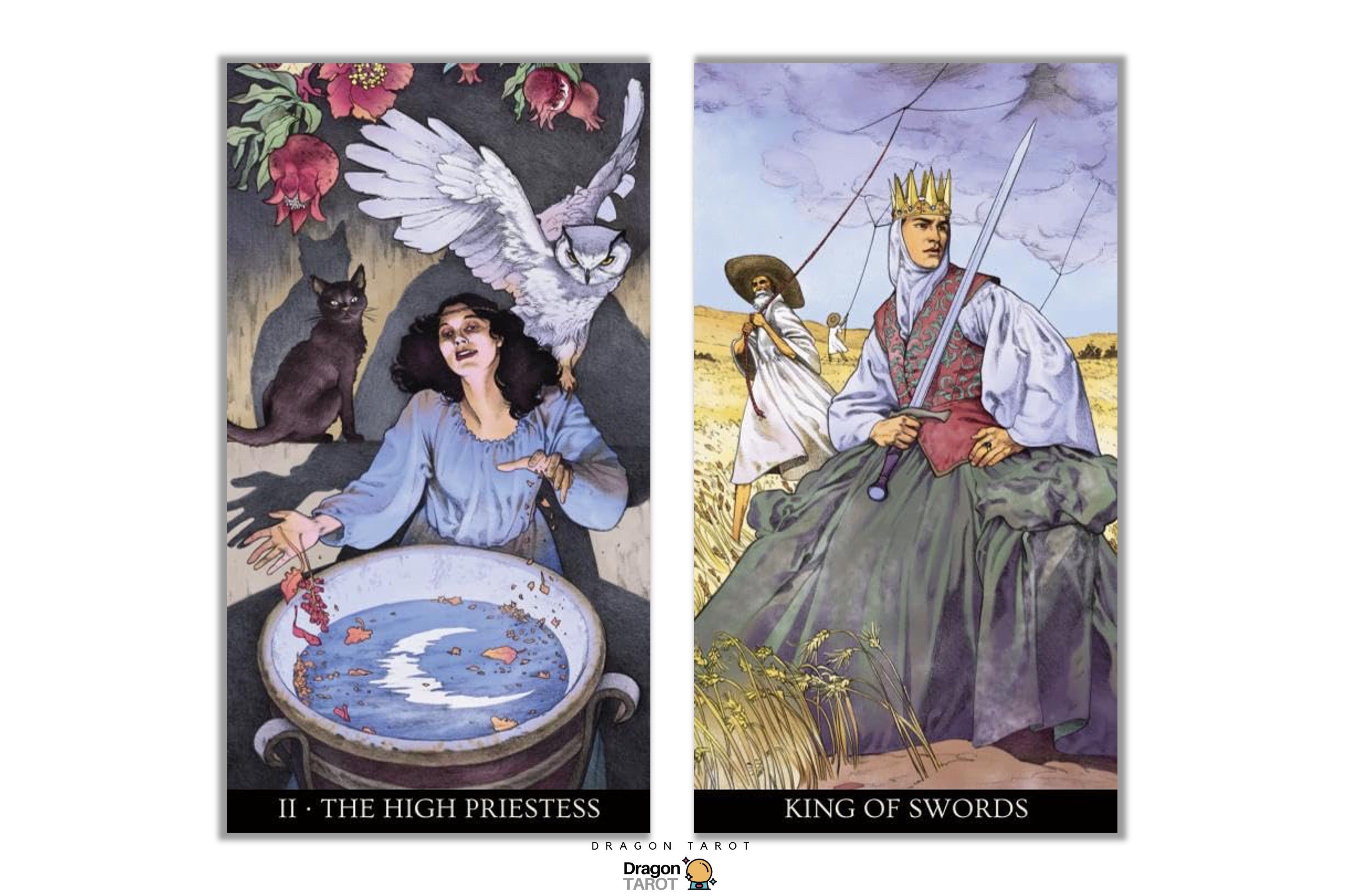 Two illustrated tarot-style cards shown side by side on a white background: 'II - The High Priestess' on the left and 'King of Swords' on the right. The left card shows a woman at a cauldron with a white bird and dark cat.