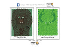 Two Dragon Tarot card illustrations side by side on a white background. The left card is titled 'Bear' and shows a dark brown furry bear face with green eyes on a muted green background.