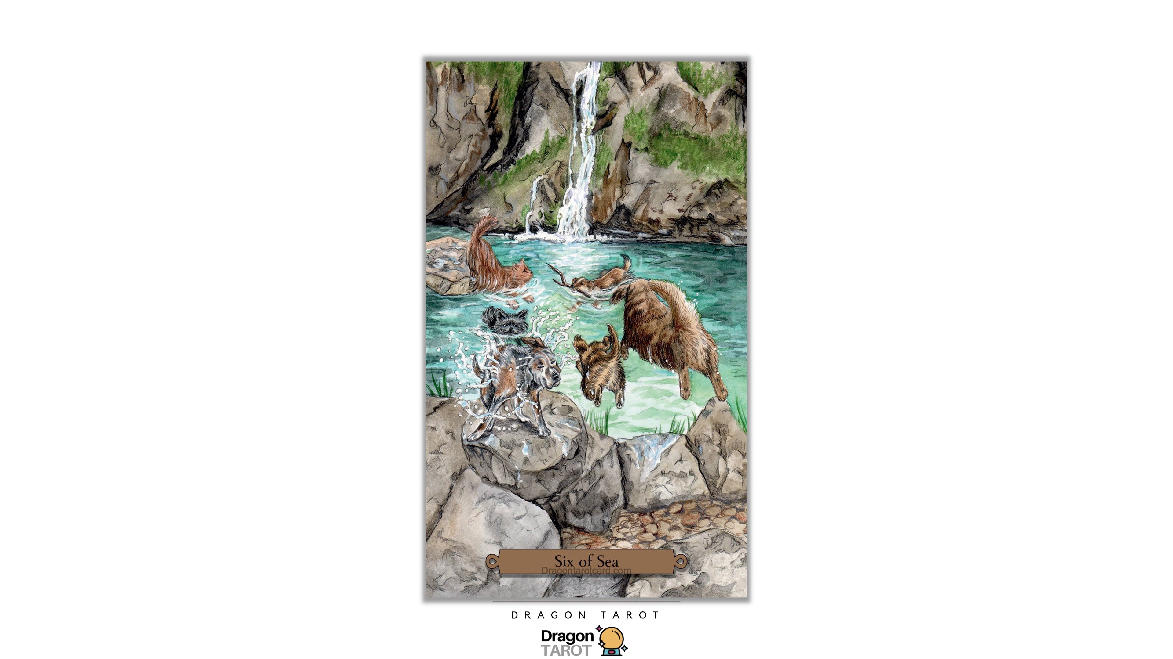 Magical Dogs Tarot | ไพ่ทาโรต์