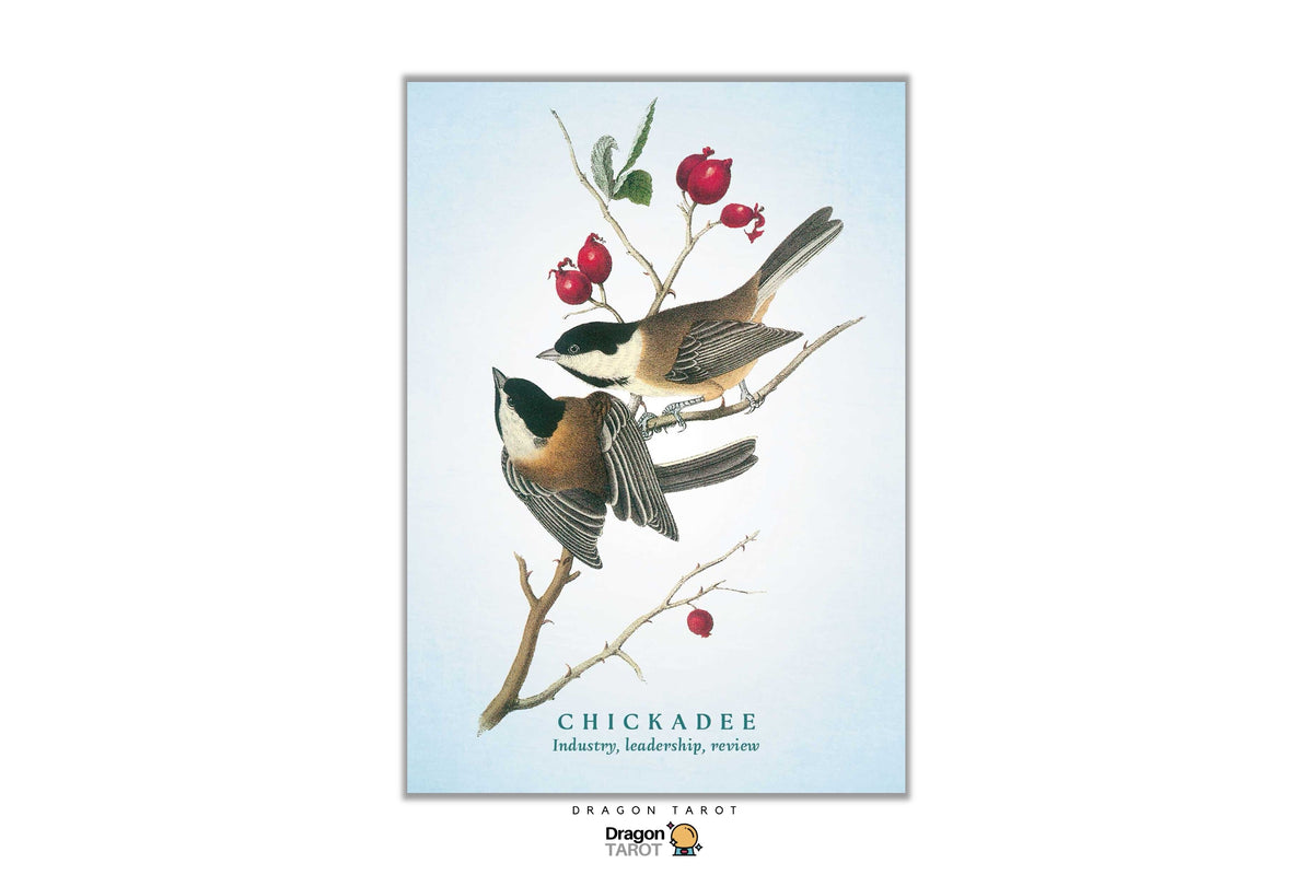 A vertical art print featuring an illustration of two chickadees perched on a branch with red berries against a pale blue background. The print includes the text 'CHICKADEE' and 'Industry, leadership, wisdom' with a small Dragon Tarot logo at the bottom.