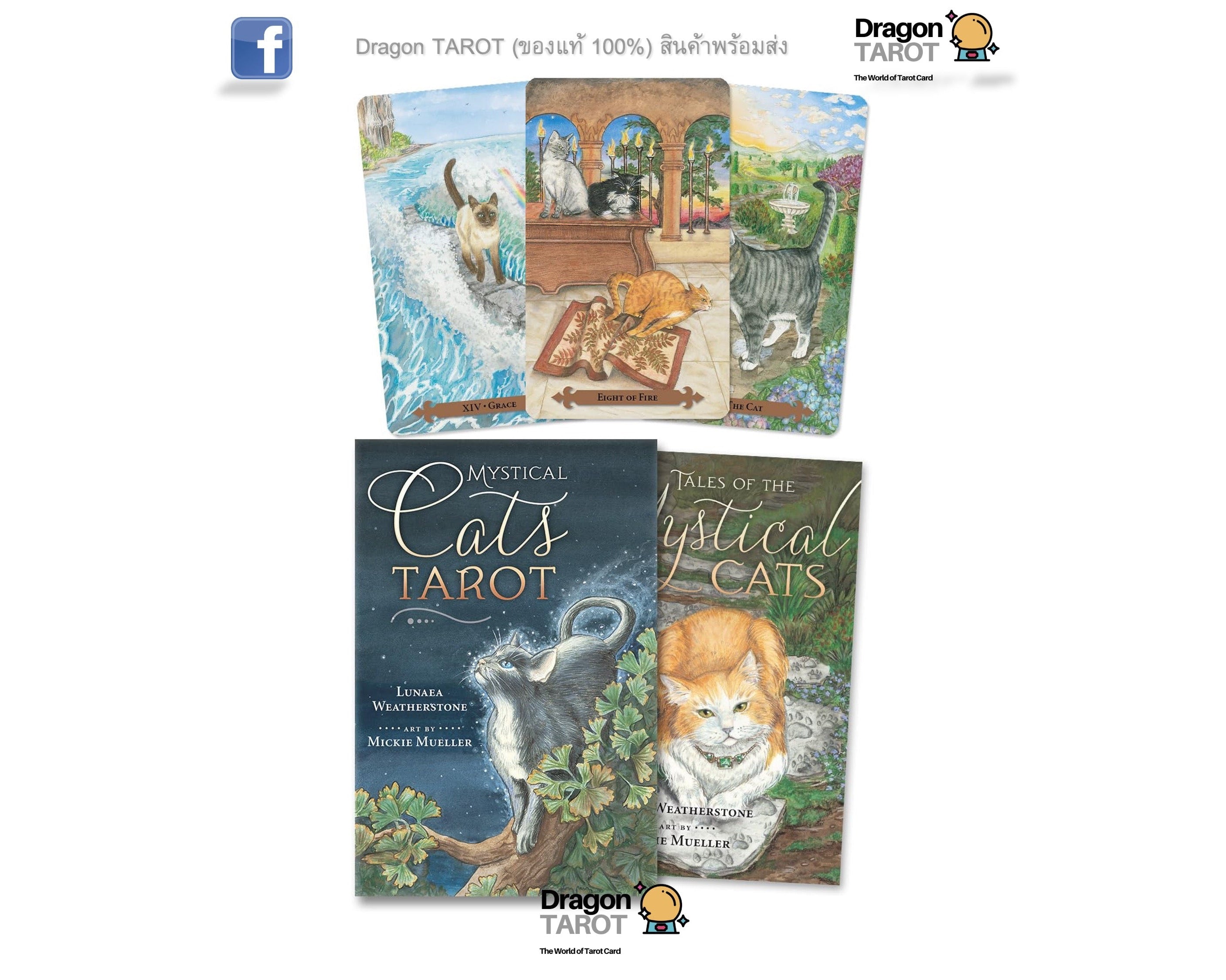 Three illustrated tarot card book covers for 'Mystical Cats Tarot' arranged on a white background, with Dragon Tarot branding visible at the top and bottom.