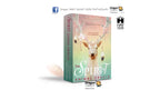 Spirit Animal Oracle, The | ไพ่ออราเคิล