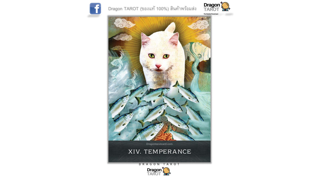 Grimalkin’s Curious Cats Tarot | ไพ่ทาโรต์