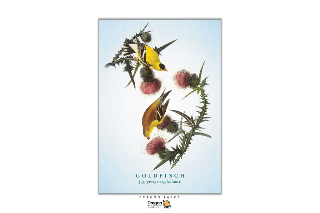A Dragon Tarot 'Goldfinch' tarot card featuring a classic goldfinch illustration perched on pink thistle flowers against a pale blue background, shown centered on a white canvas.