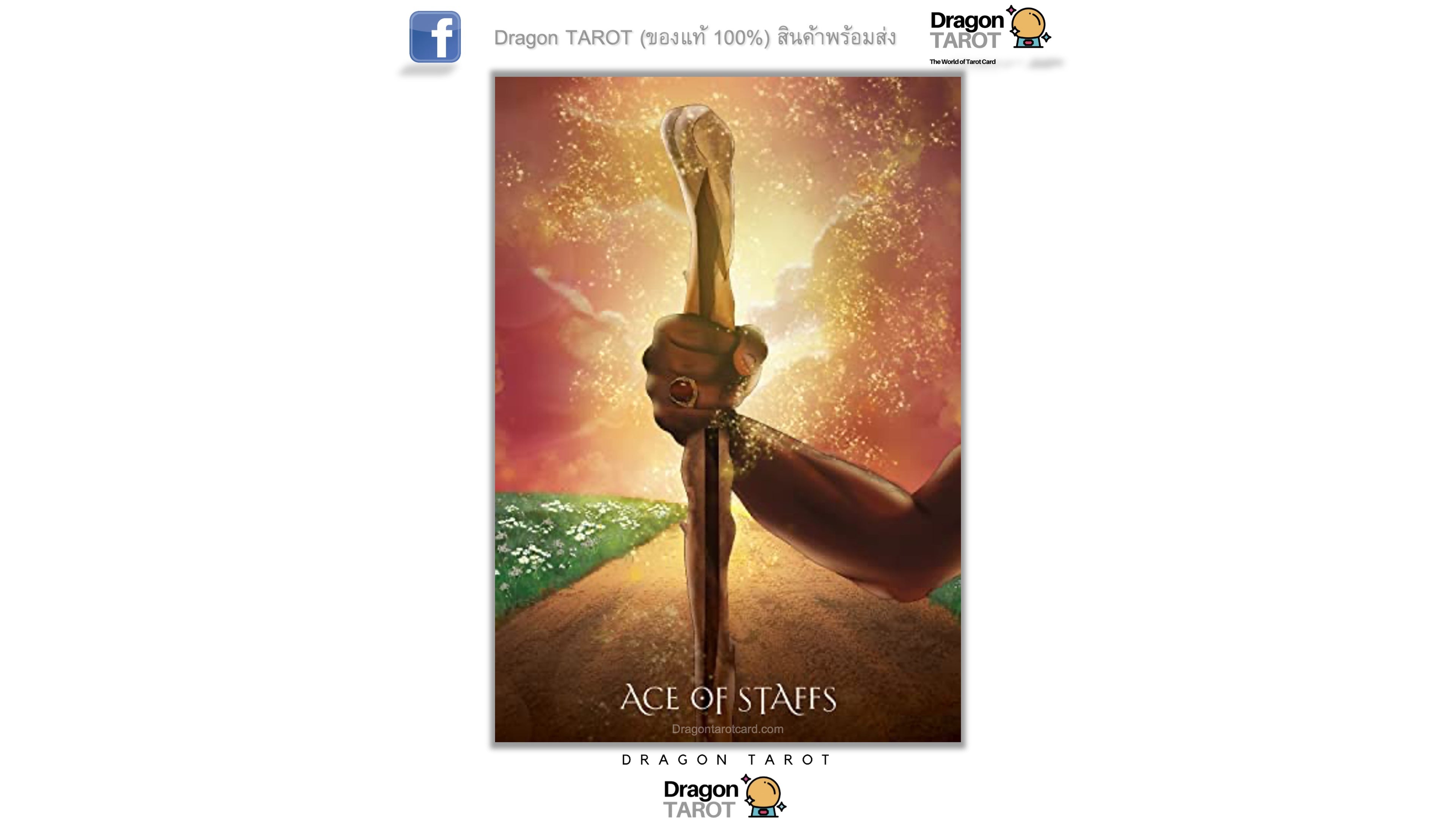 Dragon Tarot 'Ace of Staves' card featuring a hand holding a staff upright against a glowing sunset sky with a green landscape below.