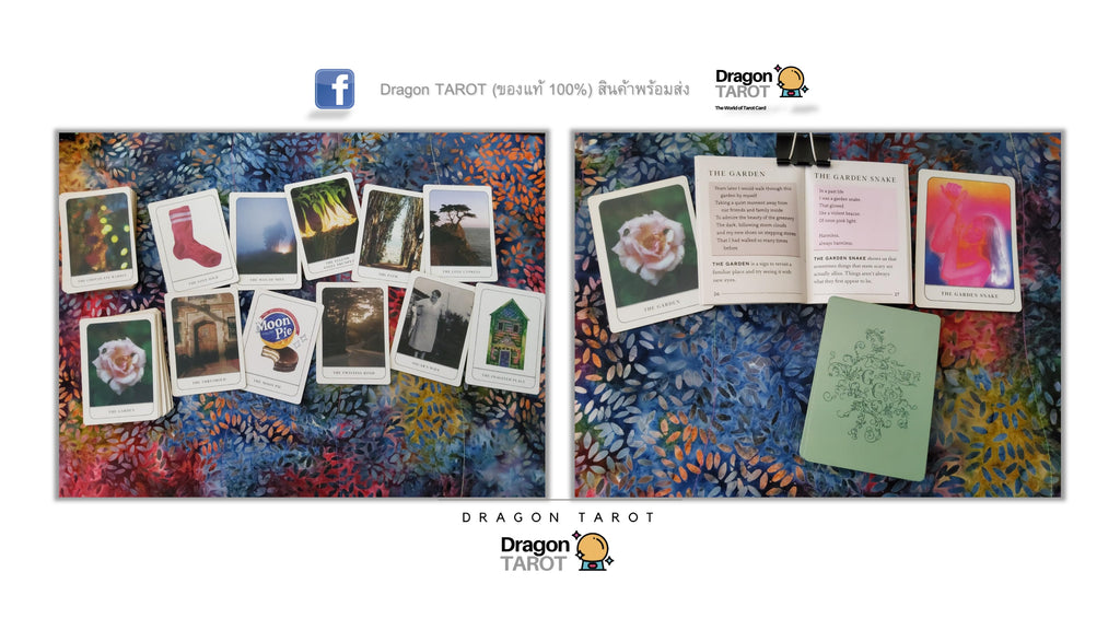 Gentle Chaos Pocket Oracle Deck | ไพ่ออราเคิล ขนาดพกพา
