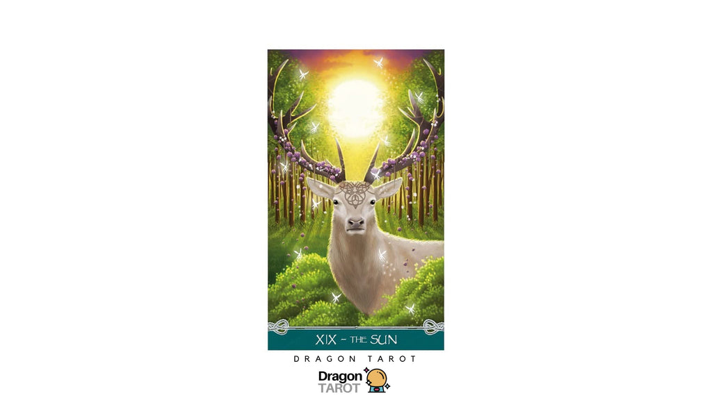 Dragon Tarot card titled 'XIX - THE SUN', depicting a deer with large antlers in a glowing green forest. The card is centered on a white background with Dragon Tarot branding and social media icons at the top and bottom.