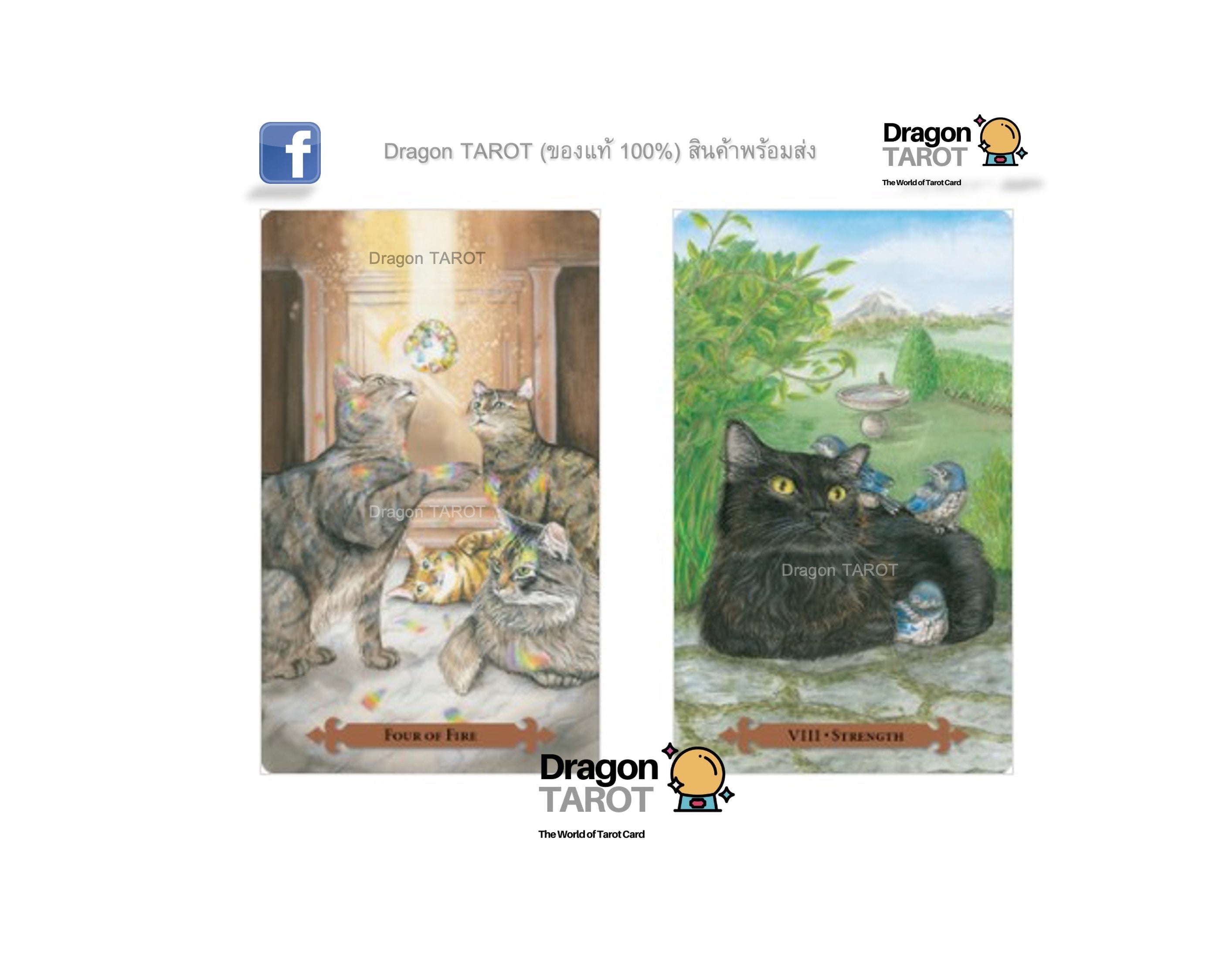 Mystical Cats Tarot Kit | ไพ่ทาโรต์ พร้อมหนังสือคู่มือ