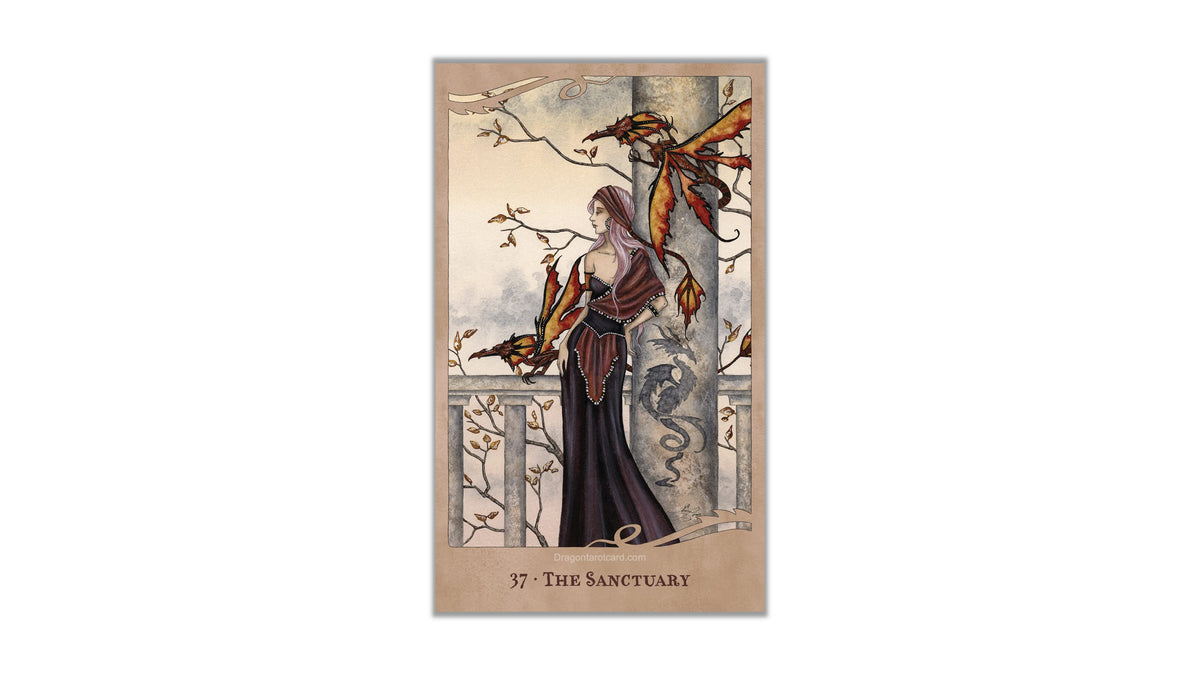 For the Love of Dragons Oracle | ไพ่ออราเคิล ไพ่ขอบชมพู พร้อมถุงใส่ไพ่