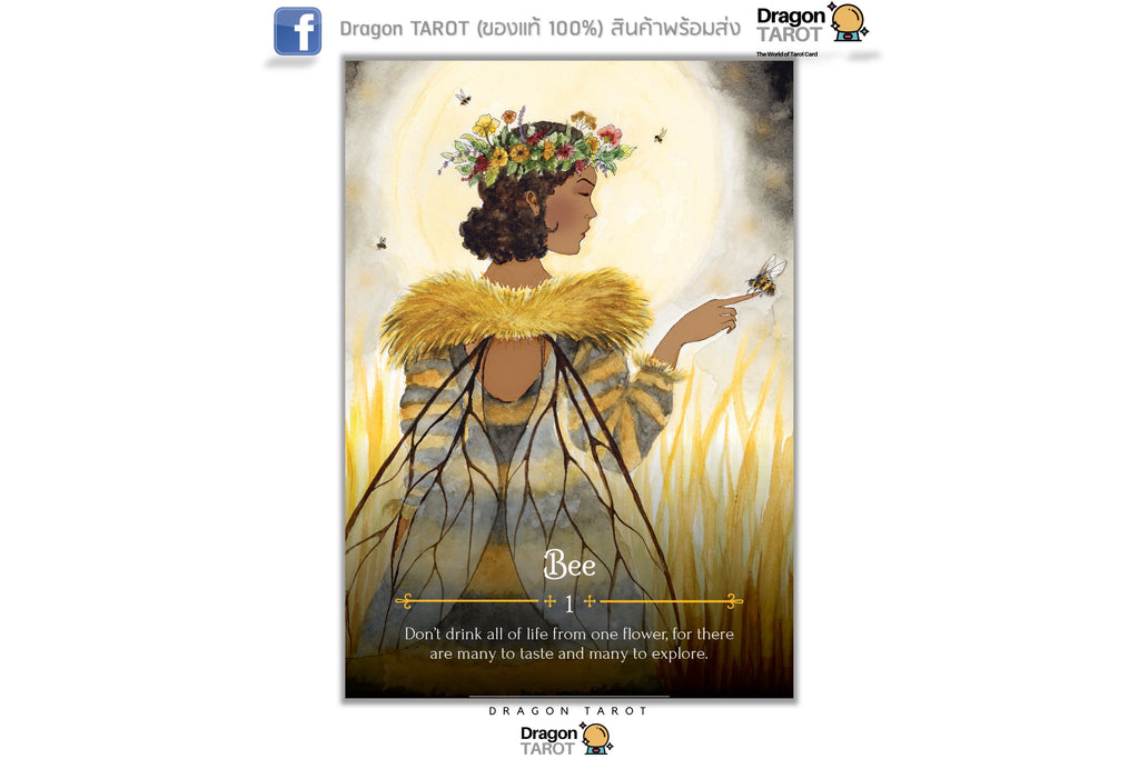 Seasons of the Witch: Beltane Oracle ไพ่ขอบทอง | ไพ่ออราเคิล