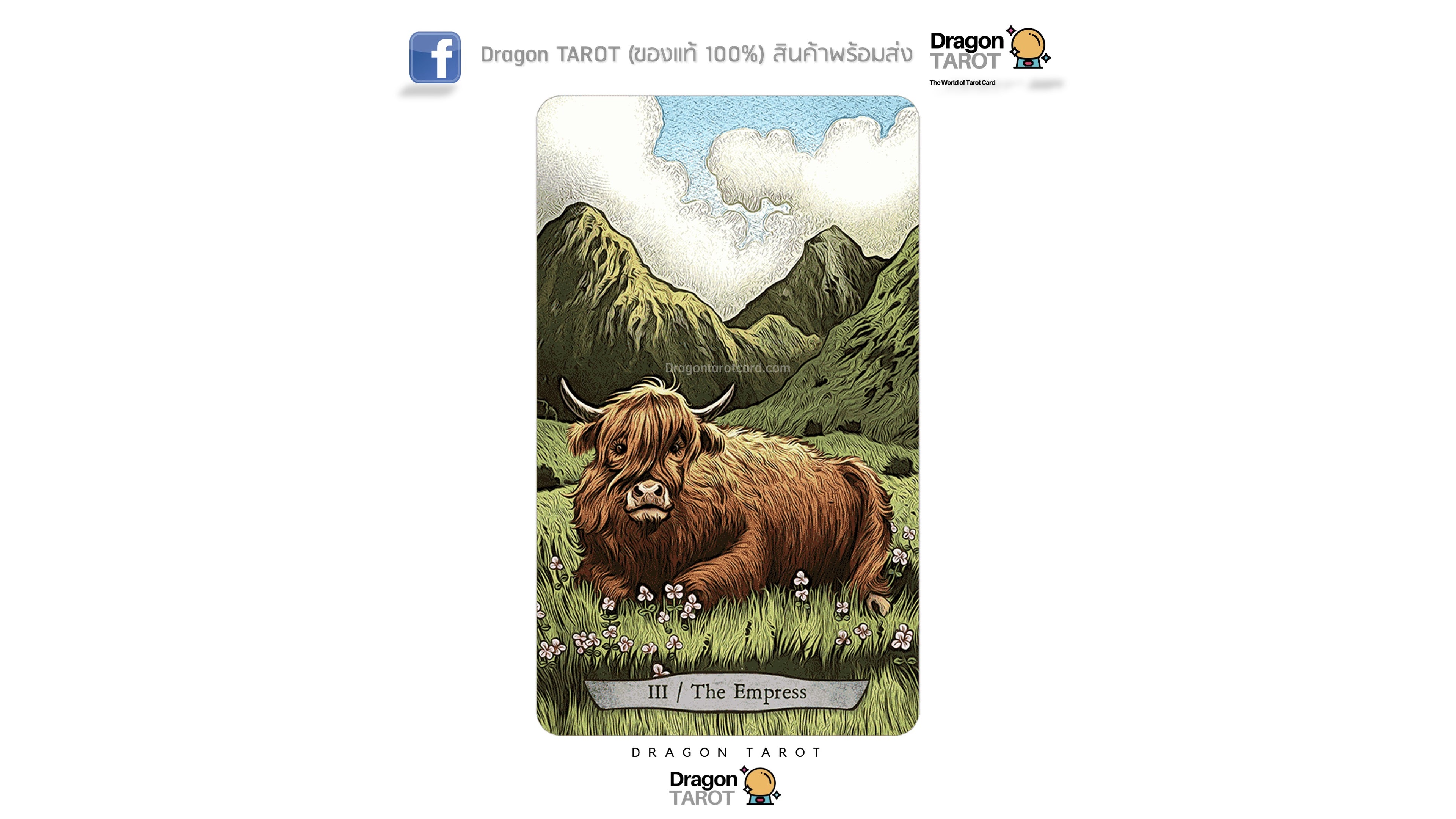 Animal Totem Tarot Kit | ไพ่ทาโรต์ พร้อมหนังสือคู่มือ