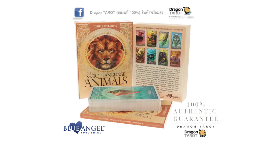 Dragon Tarot Animal Deck by Chip Richards, featuring a decorative box with a lion illustration, a deck of cards, and an informational card, displayed on a white background with Blue Angel Publishing branding.