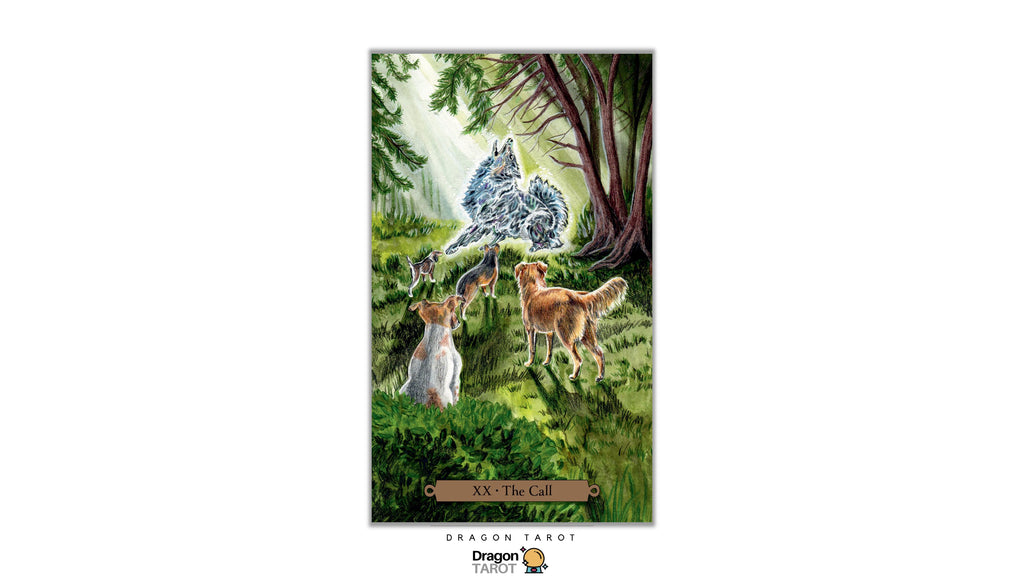 Magical Dogs Tarot | ไพ่ทาโรต์