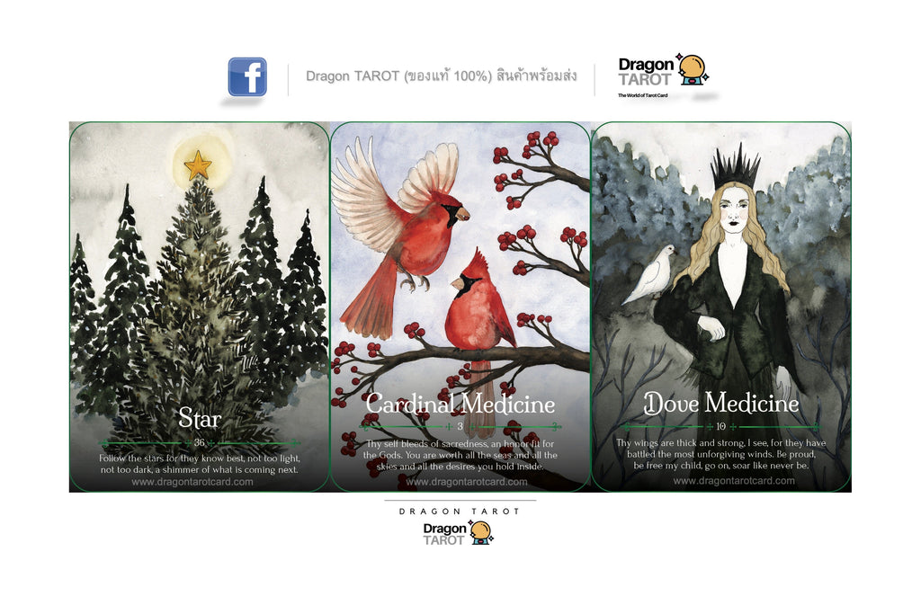 Seasons of the Witch: Yule Oracle ไพ่ขอบเขียว | ไพ่ออราเคิล