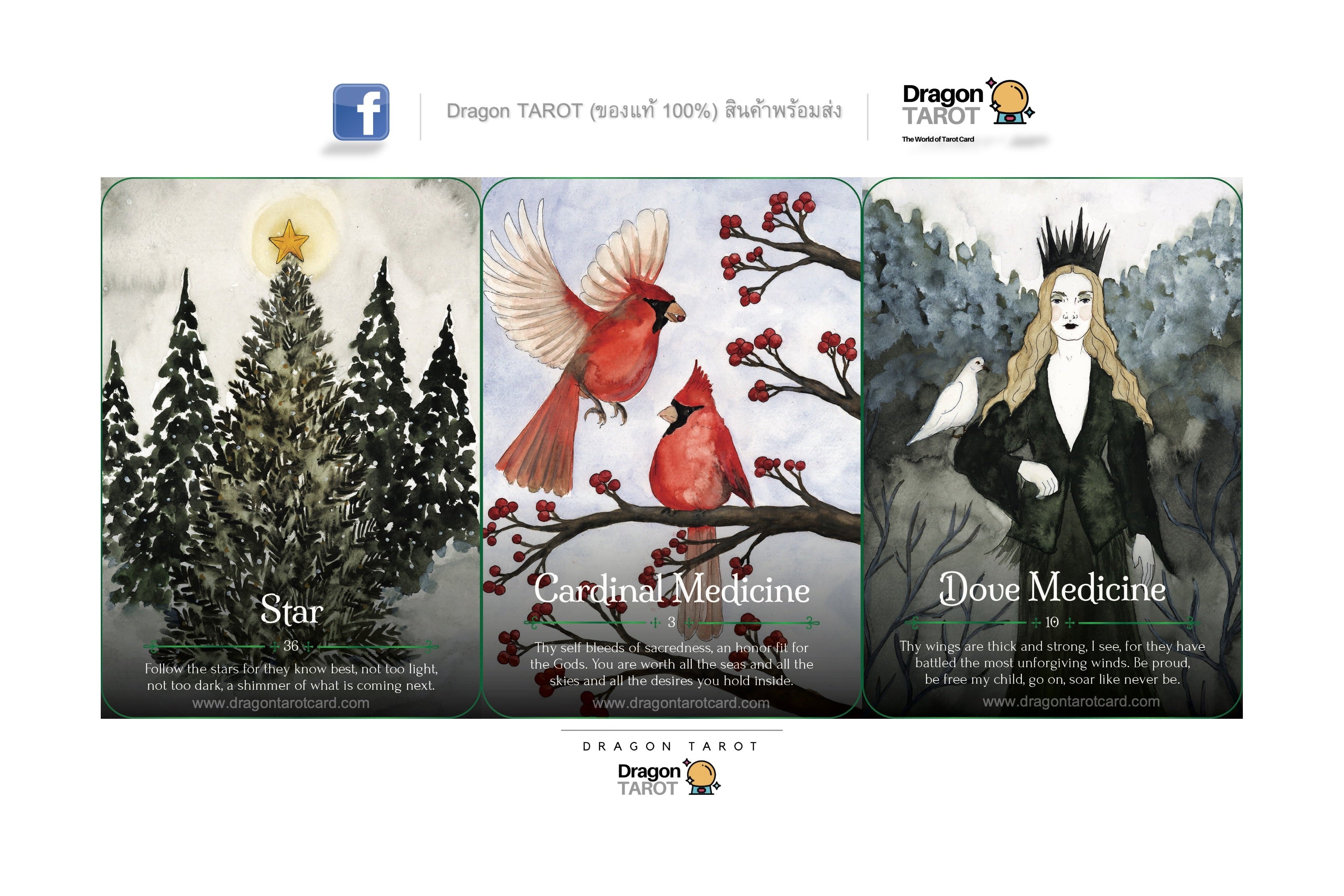 Seasons of the Witch: Yule Oracle ไพ่ขอบเขียว | ไพ่ออราเคิล