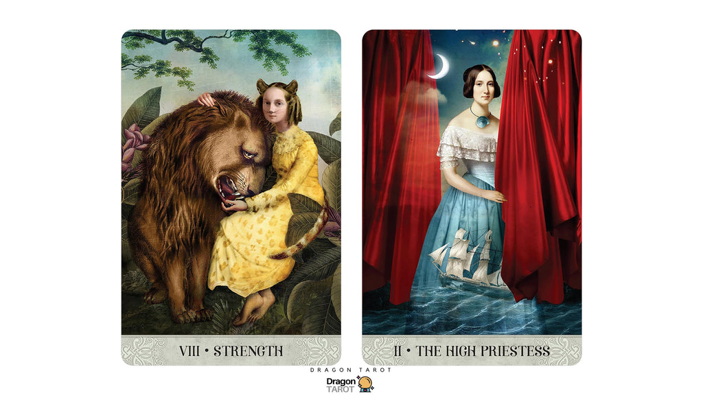 Two illustrated tarot-style cards shown side by side on a white background. The left card is labeled VIII Strength and depicts a woman in a yellow dress embracing a large brown bear in a forest scene.