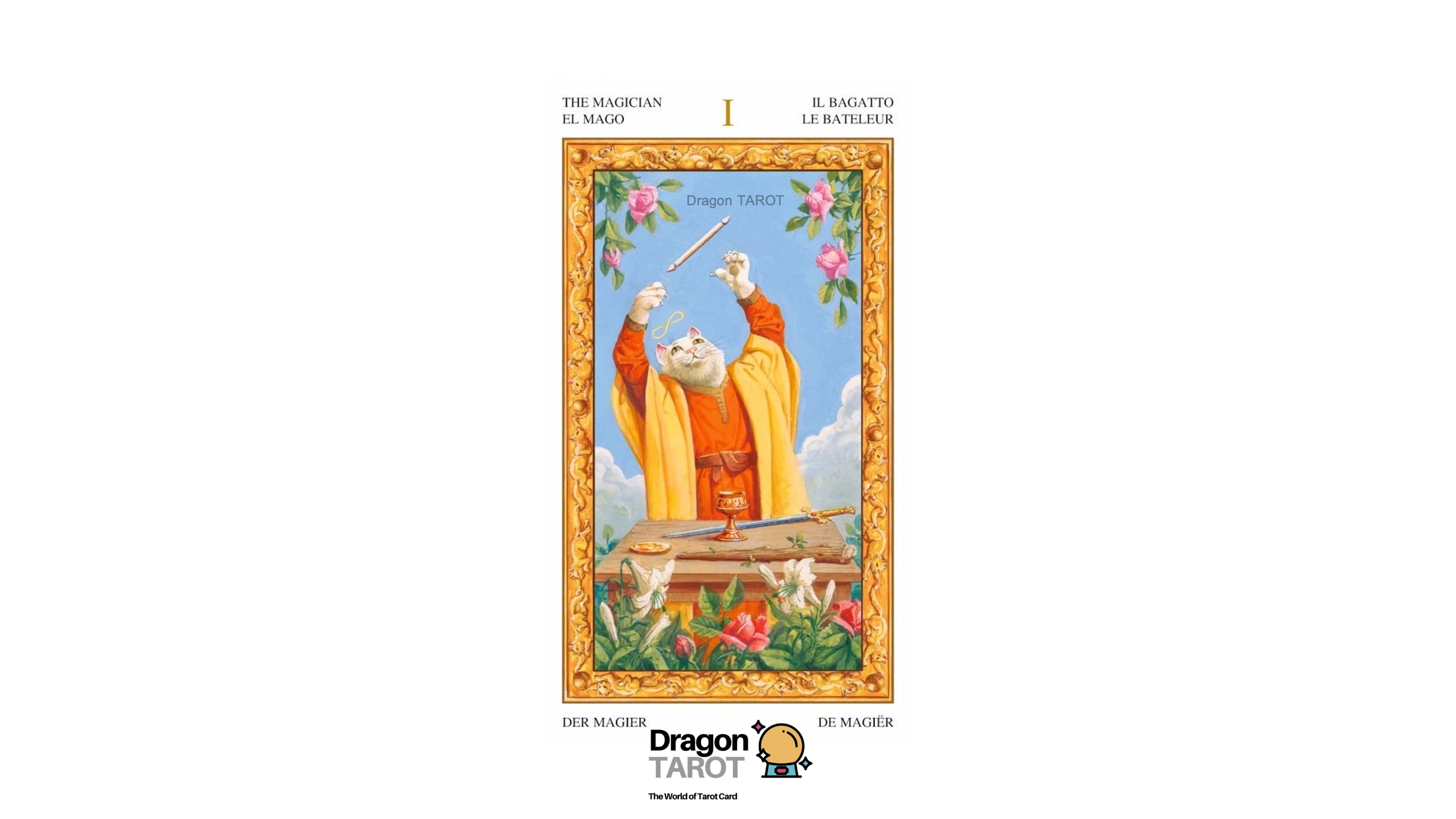 Dragon Tarot card 'The Magician' from Volume I, featuring a colorful illustration of a white cat dressed in a yellow robe and holding a wand, framed by a gold border on a white background with the Dragon Tarot logo at the bottom.