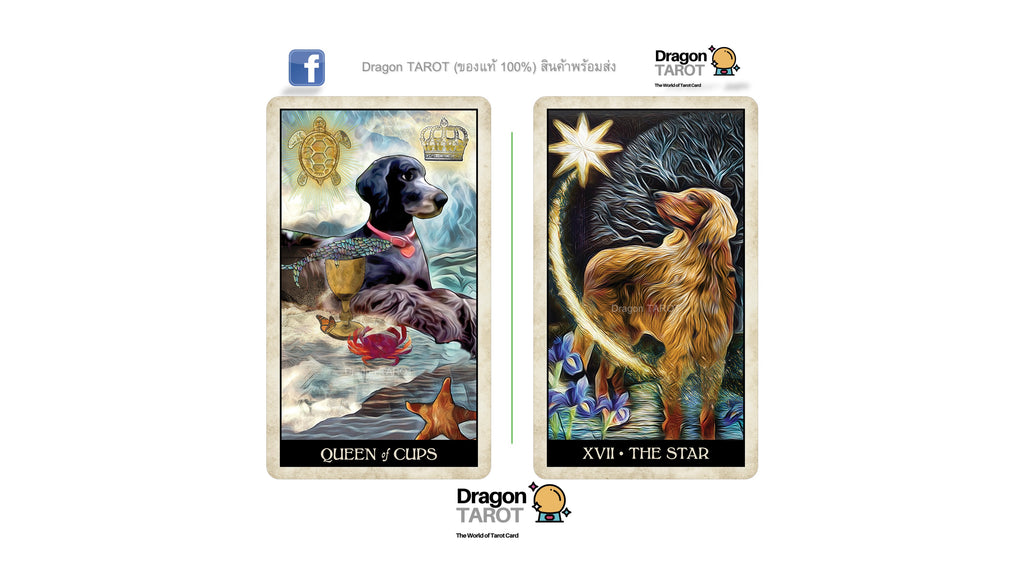 Wise Dog Tarot | ไพ่ทาโรต์