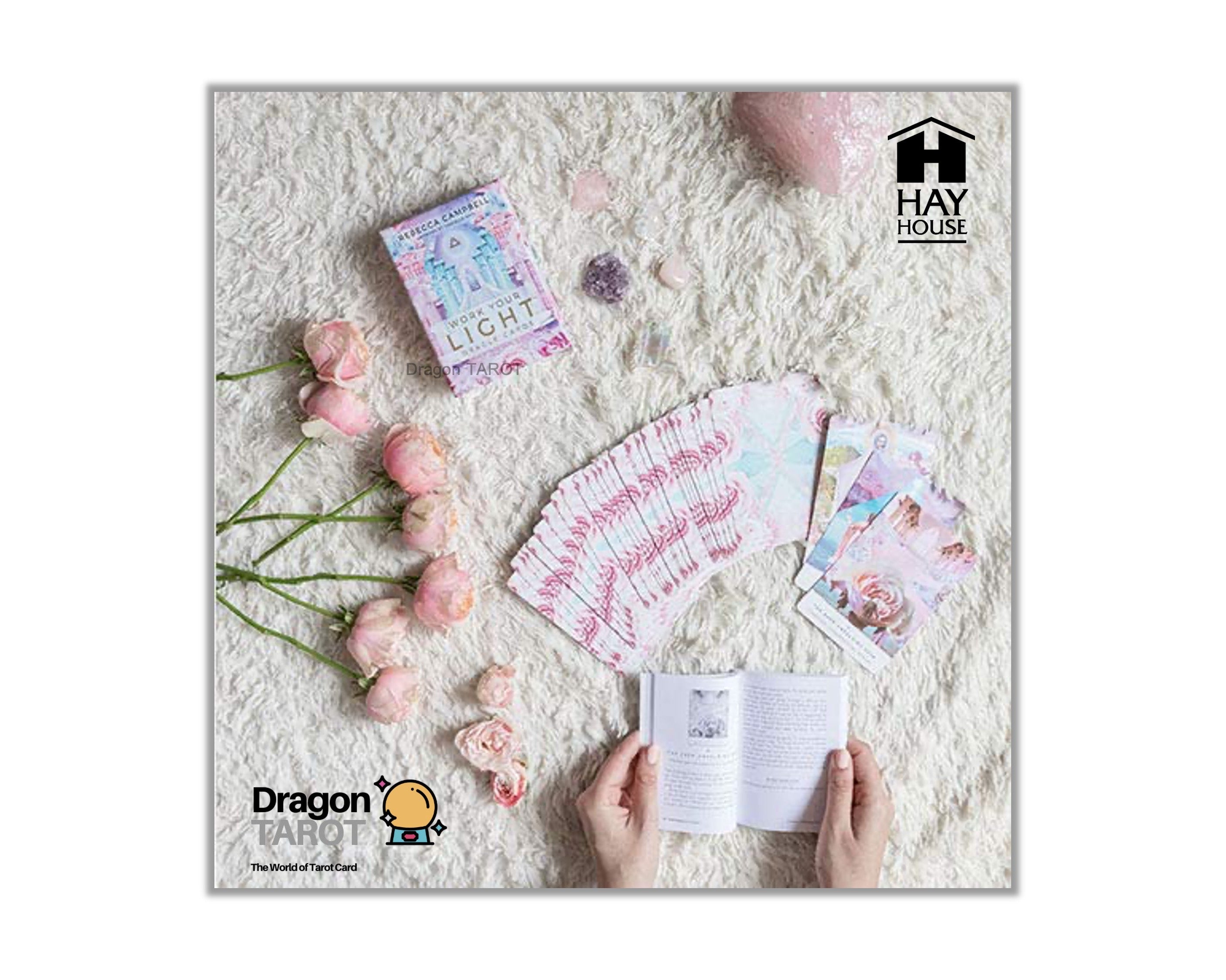 ไพ่ออราเคิล Work Your Light Oracle (ของแท้ 100%) ไพ่ยิปซี, ไพ่ทาโรต์ สินค้าพร้อมส่ง ไพ่แท้, ร้าน Dragon TAROT