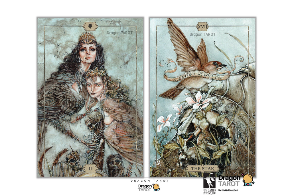 Two illustrated tarot cards shown side by side on a white background: Dragon Fury on the left and The Star on the right. The artwork is detailed and fantasy-oriented, with dragons, a woman, a bird, flowers, and symbolic imagery.