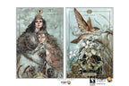 Two illustrated tarot cards shown side by side on a white background: Dragon Fury on the left and The Star on the right. The artwork is detailed and fantasy-oriented, with dragons, a woman, a bird, flowers, and symbolic imagery.