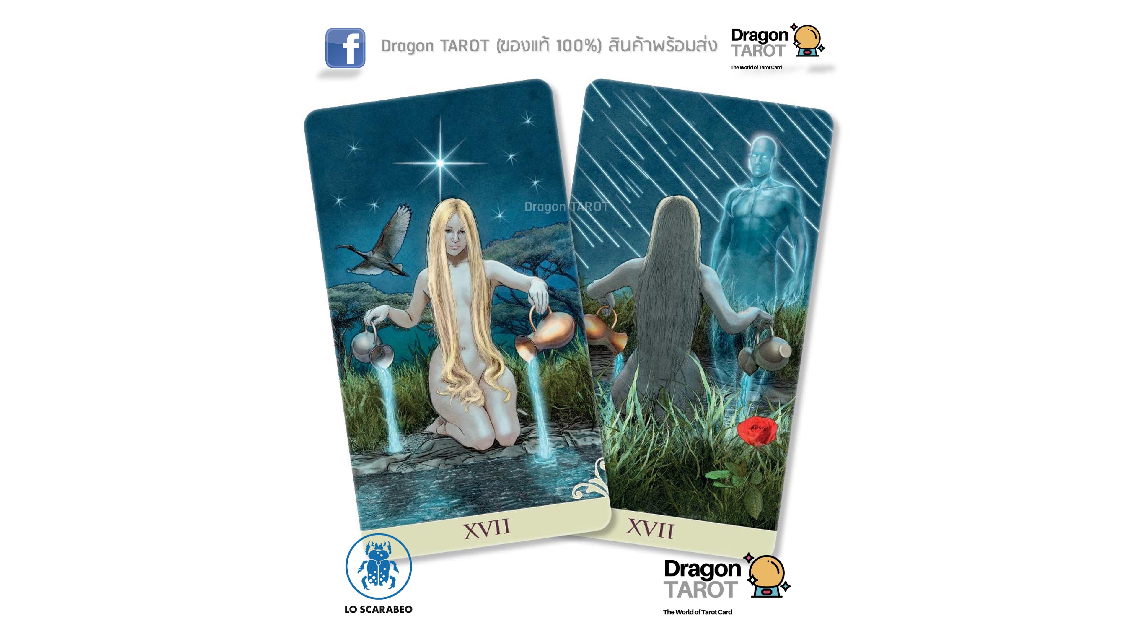 Two Dragon Tarot card illustrations shown on a white background, with Thai text and Dragon Tarot branding. The left card depicts a kneeling woman with long blonde hair in a starry night scene with glowing mushrooms; the right card shows a ghostly female figure in a forest with a red flower.