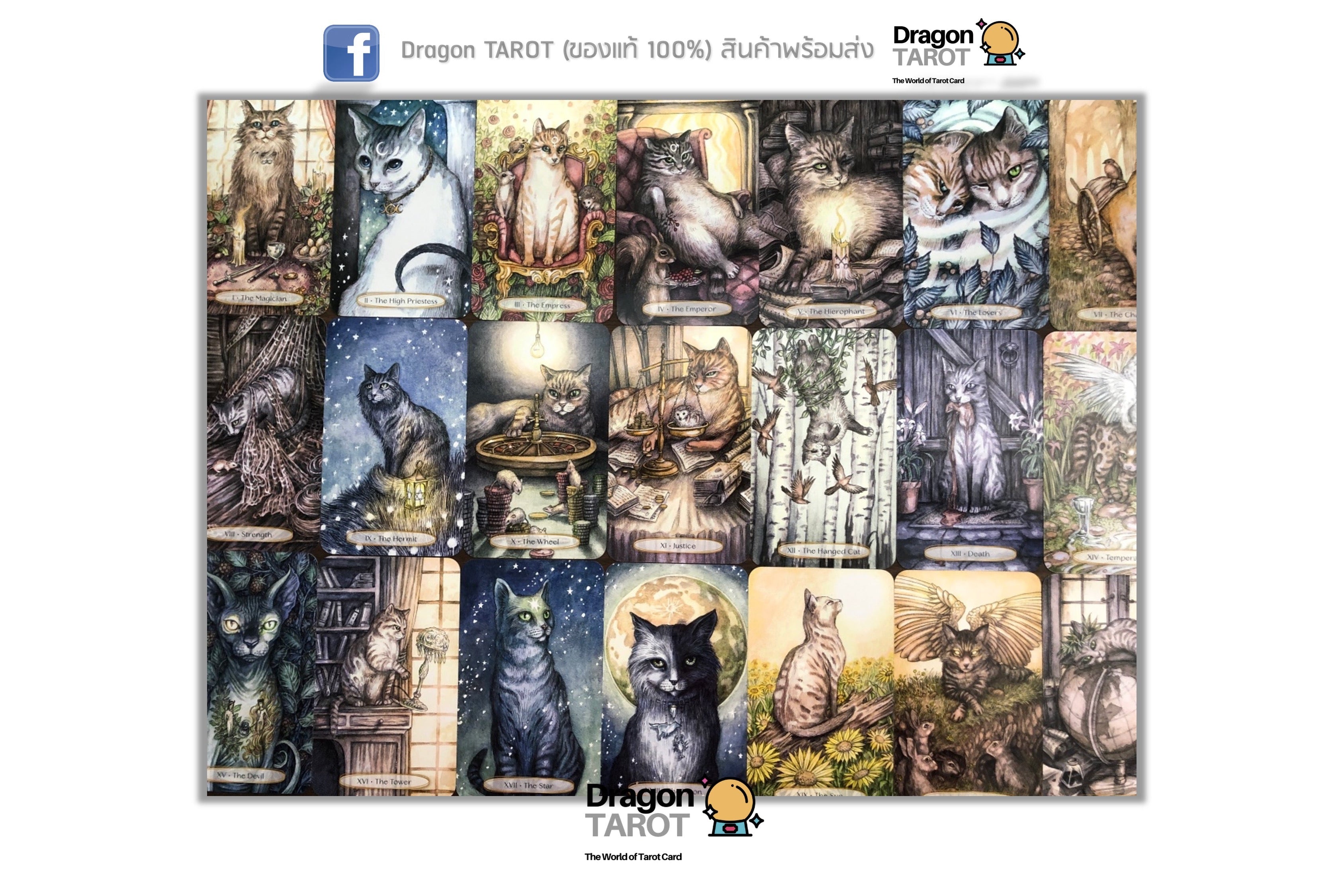 Soul Cats Tarot Kit | ไพ่ทาโรต์ พร้อมหนังสือคู่มือ