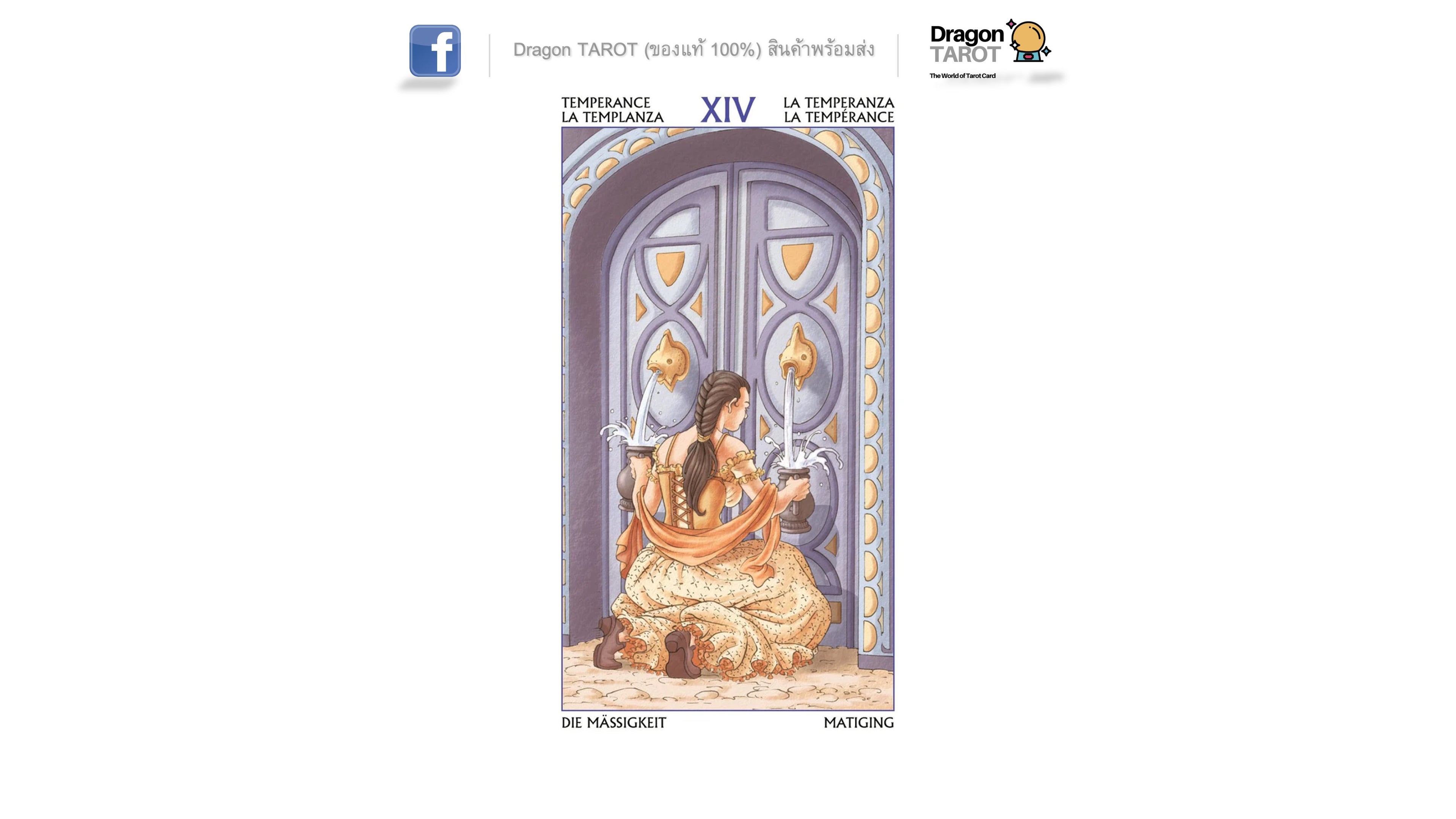 Tarot of the 78 Doors | ไพ่ทาโรต์