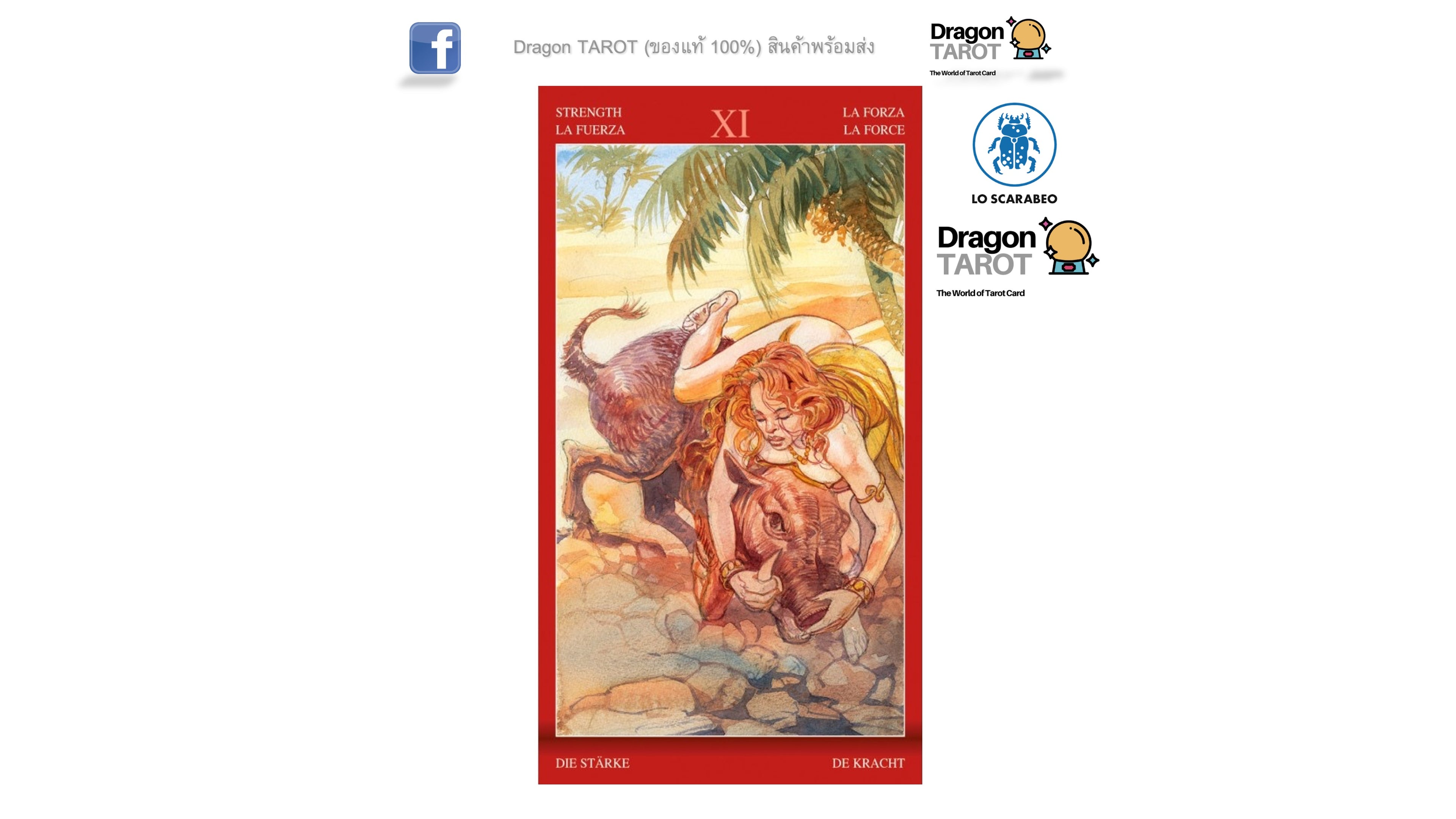 ไพ่ยิปซี Tarot of Sexual Magic (ของแท้ 100 %) ไพ่แท้ สินค้าพร้อมส่ง, ร้าน Dragon TAROT