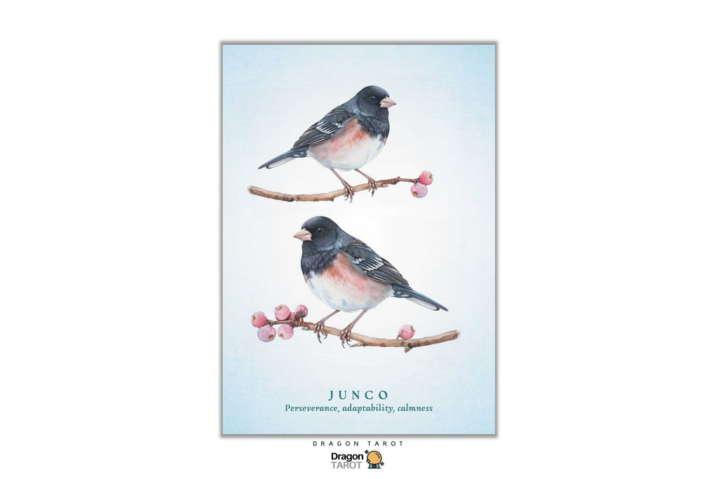 A vertical art print featuring two junco birds perched on branches with pink blossoms, set against a pale blue background. The print includes the text 'JUNCO' and 'Perseverance, adaptability, optimism' with a small Dragon Tarot logo at the bottom.