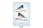 A vertical art print featuring two junco birds perched on branches with pink blossoms, set against a pale blue background. The print includes the text 'JUNCO' and 'Perseverance, adaptability, optimism' with a small Dragon Tarot logo at the bottom.