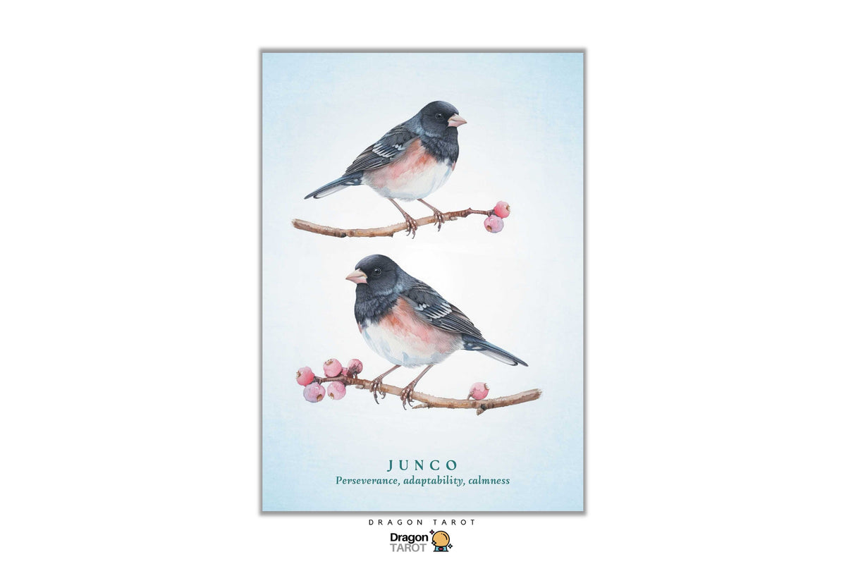 A vertical art print featuring two junco birds perched on branches with pink blossoms, set against a pale blue background. The print includes the text 'JUNCO' and 'Perseverance, adaptability, optimism' with a small Dragon Tarot logo at the bottom.