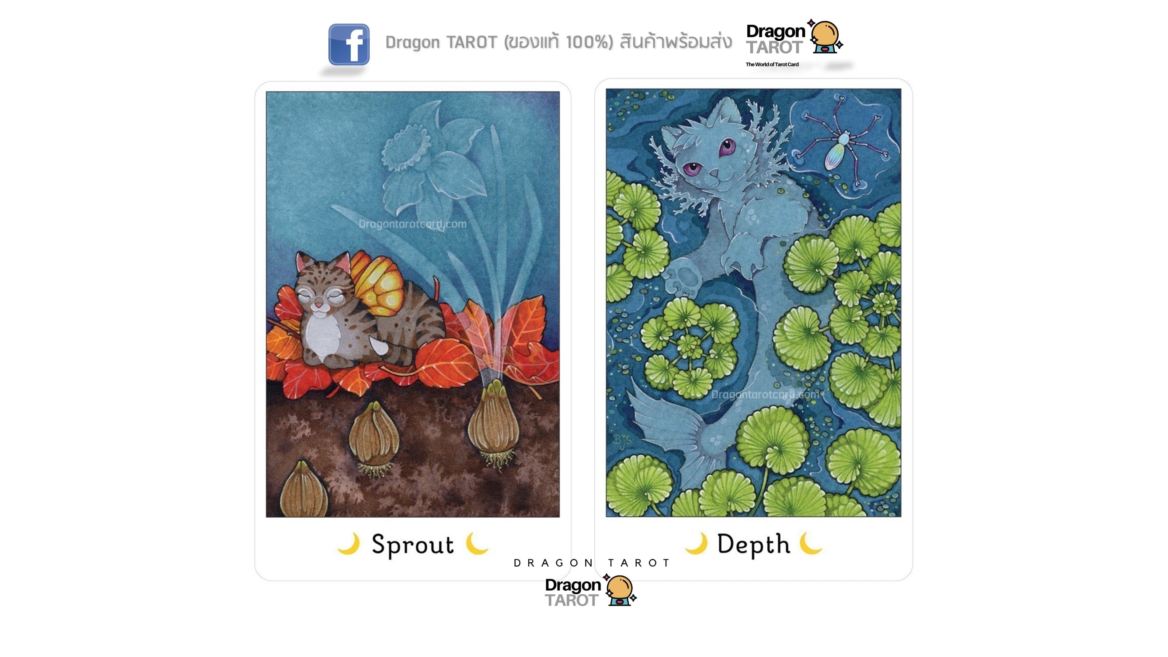 Affirmations of the Fairy Cats Deck and Book Set | ไพ่ออราเคิล