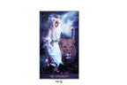 Tarot De La Nuit | ไพ่ทาโรต์