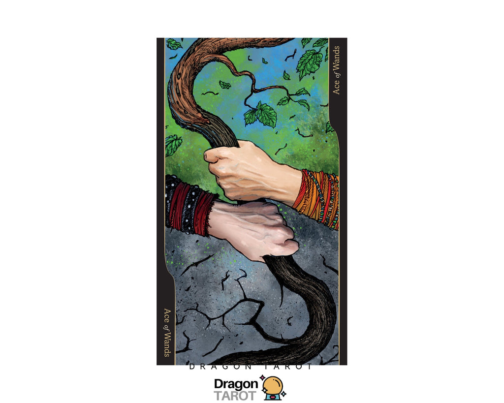 Tarot of Oppositions | ไพ่ทาโรต์
