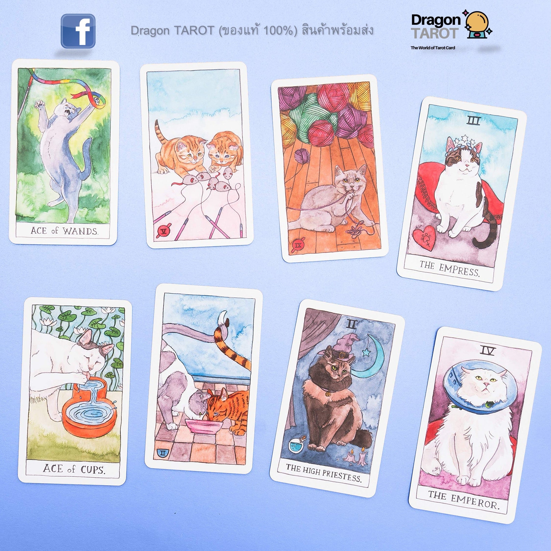 Cat Tarot | ไพ่ทาโรต์