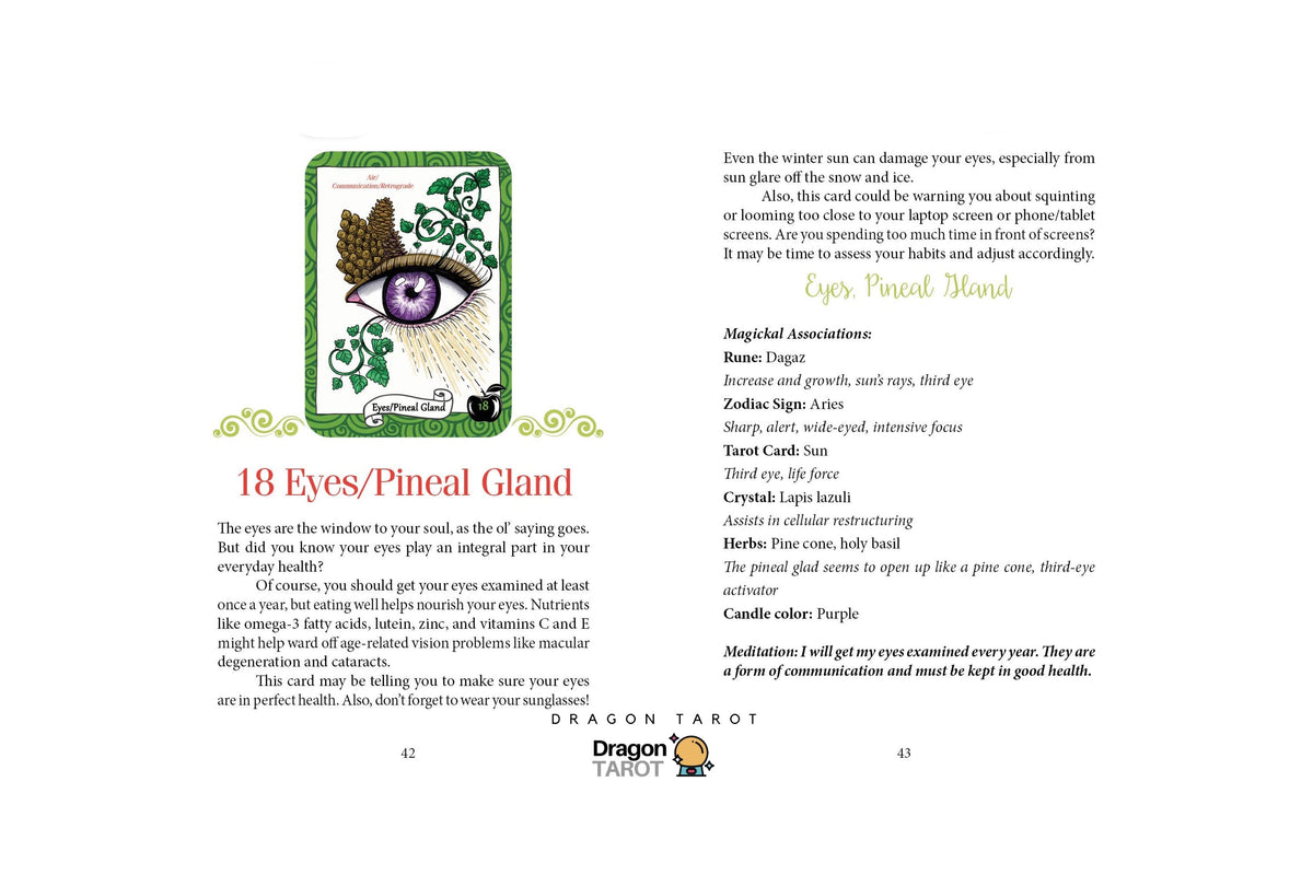 A printed informational page from Dragon Tarot featuring Thai text, a small illustration of a green dragon tarot card with brown eyes, and explanatory content about eye care and the 18 eyes/pineal gland.