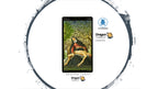 Golden Tarot of Botticelli | ไพ่ทาโรต์